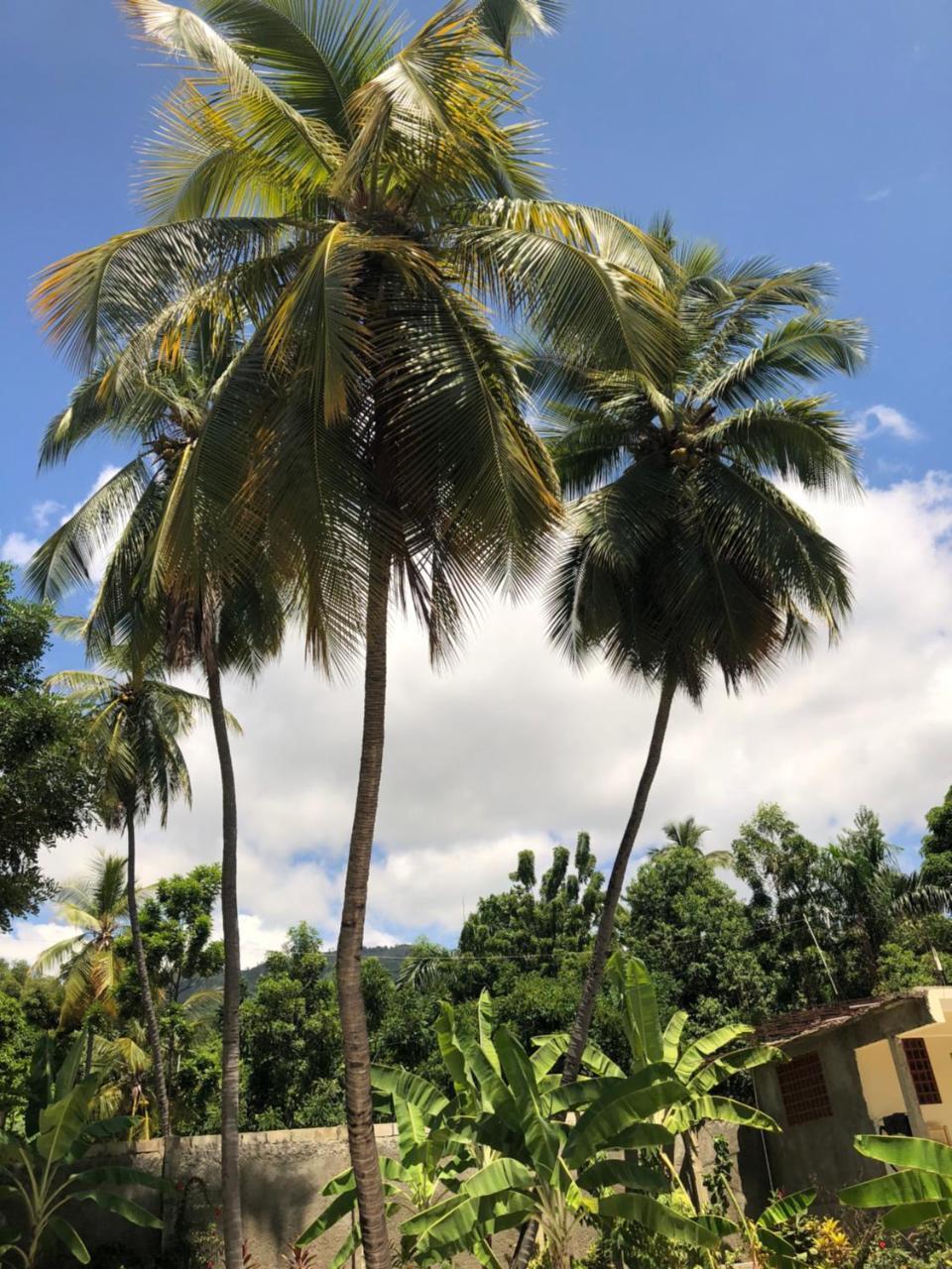 Hotel Inoubliable Cotterelle Bagian luar foto